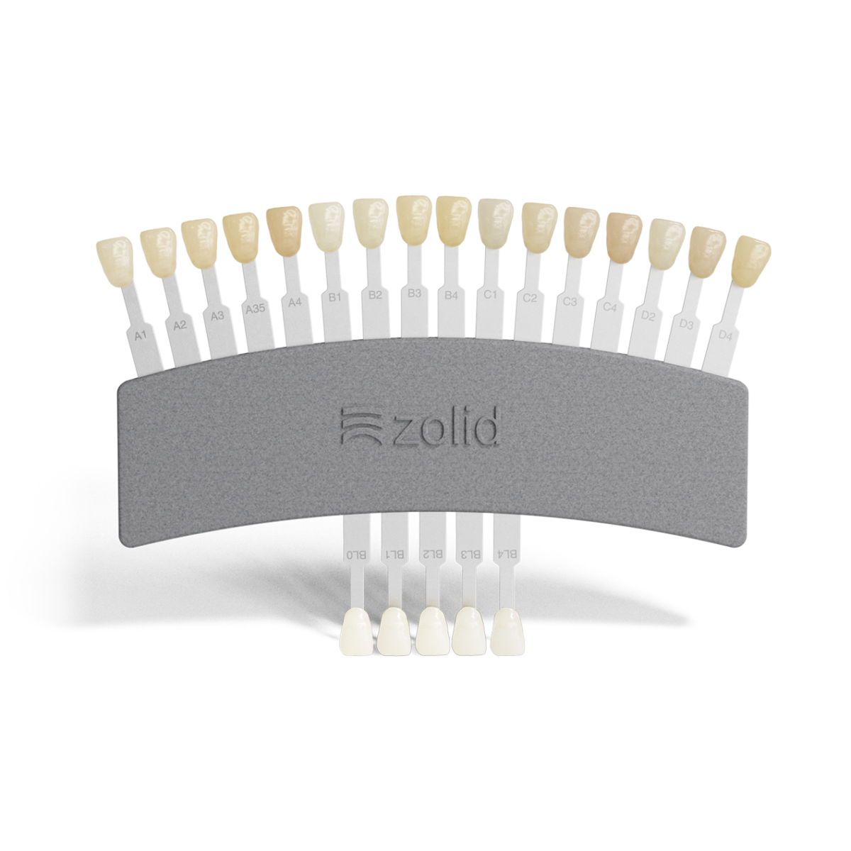 Zolid Shade Guide – Bion – Instant shade matching